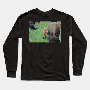 Bison Calf Long Sleeve T-Shirt